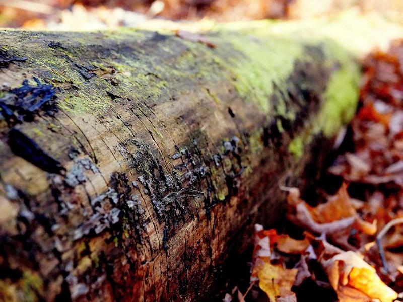 feedback screenshot 2